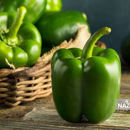 تصویر 2 از خرید فلفل دلمه ای سبز با کیفیت و ارزان + فروش عمده